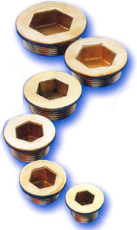 Standard Brass Fitting